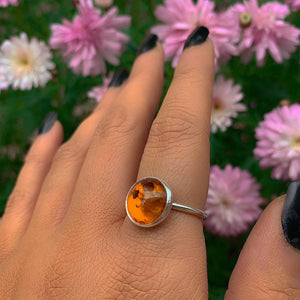 Baltic Amber Ring - Size 7 3/4 - Sterling Silver