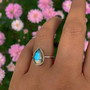 Rose Cut Labradorite Ring - Size 6 - Sterling Silver