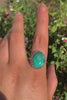 Royston Turquoise Ring - Size 11 1/2 to 11 3/4