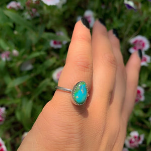 Sonoran Gold Turquoise Ring - Size 4 
