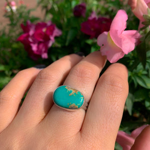 King's Manassa Turquoise Ring - Size 7 